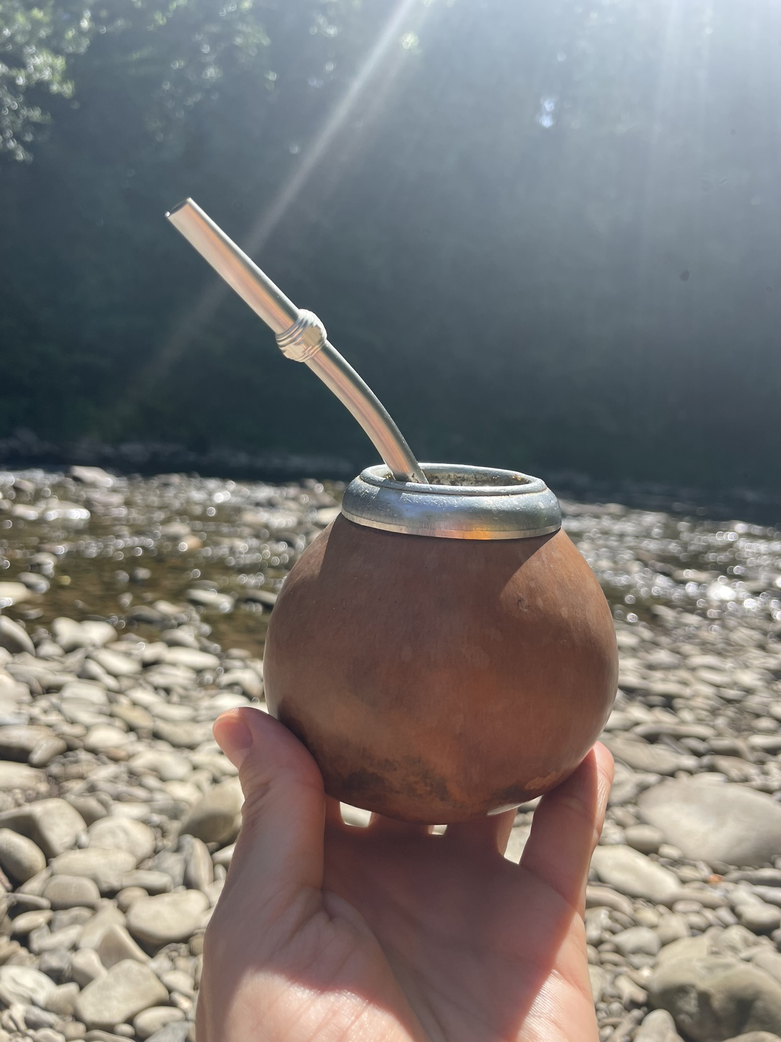 Tykwa yerba mate